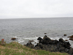 DSCN0462