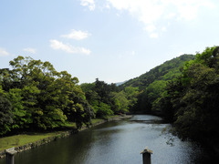 DSCN5324