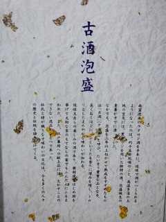 P1110950