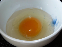 2009/02_�Ƥβ�8