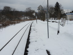 DSCN3005