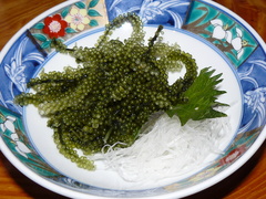 2009/02_��Ǽ�ĤФ�6