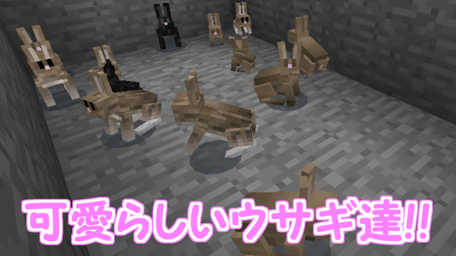 可愛らしいウサギ達