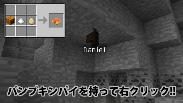 コウモリをペット