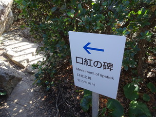 DSC00153 (1)