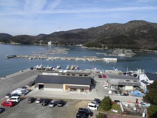 DSC00354