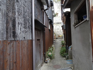 DSC00411