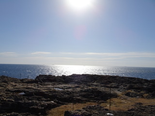 DSC00162 (1)