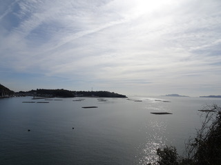 DSC00357