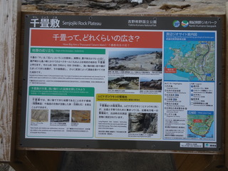 DSC00198 (1)