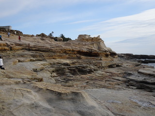 DSC00184 (1)