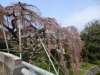 DSC00573