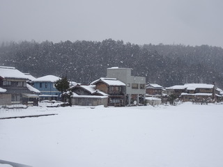 DSC00526