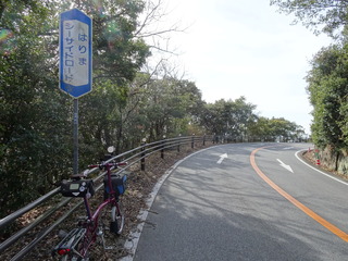 DSC00358