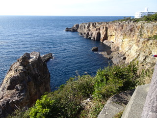 DSC00164 (1)