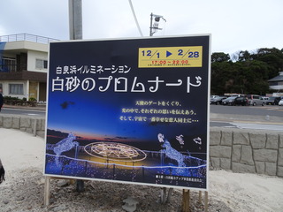 DSC00211