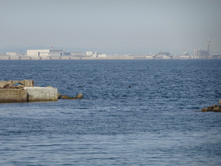 DSC00041