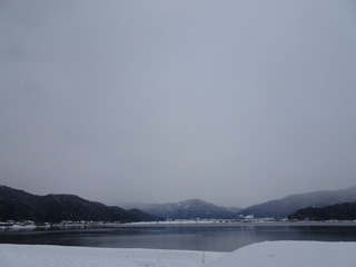 DSC00520