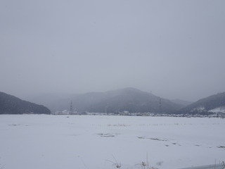 DSC00523