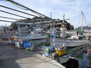DSC00352