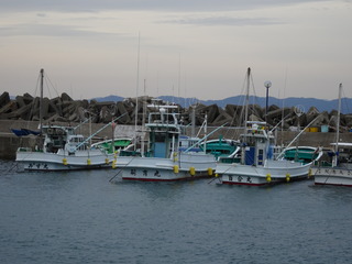 DSC00210