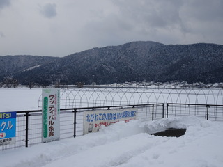 DSC00505