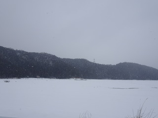 DSC00522