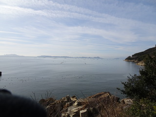 DSC00344