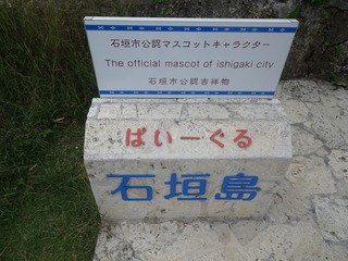 DSC00629