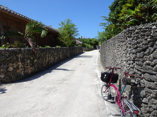 DSC00666