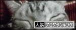 肉球放送局