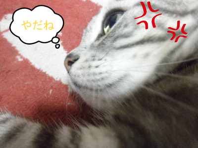 BlogPaint
