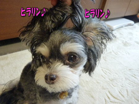 8�ҥ���
