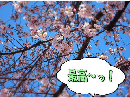 8�ǹ�