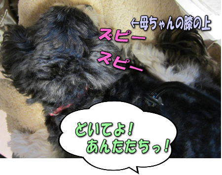 2�ɤ���