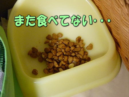 ���٤ʤ�