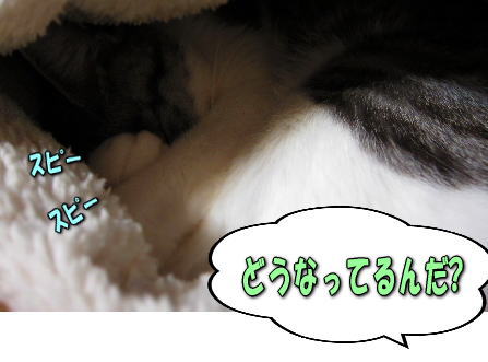 6�ɤ��ʤä�