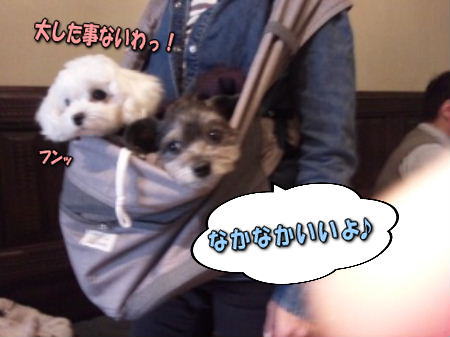 3�ʤ��ʤ�