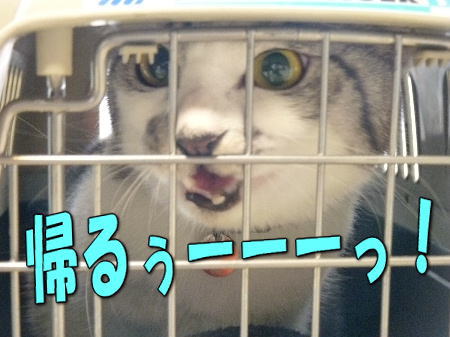 12����