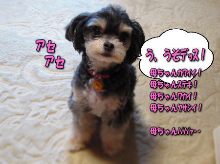 7��������