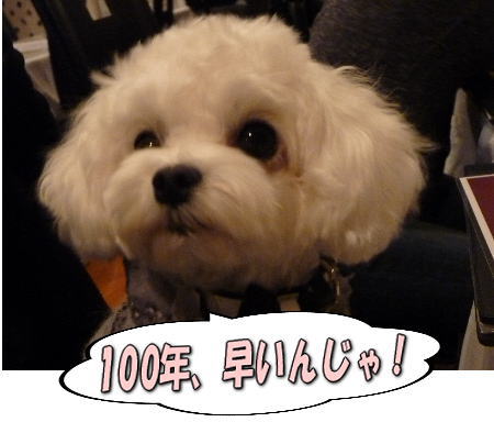 10�Ϥ䤤