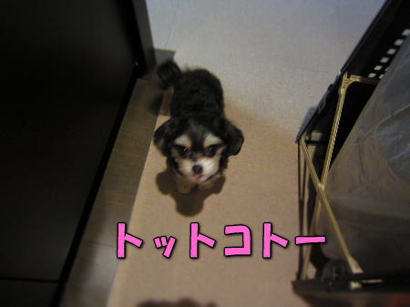 2�ȥåȥ�