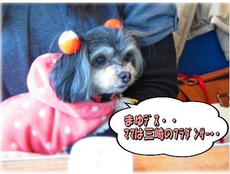 3�ޤ�����