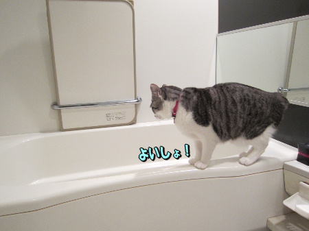 �褤����