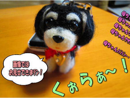 10�Ǥ��ޤ���