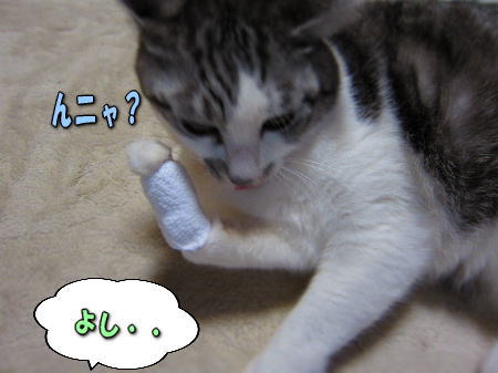9�褷