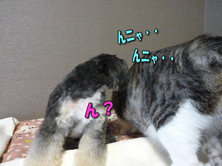 4��ˤ�