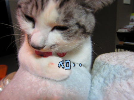 7�ڥ�