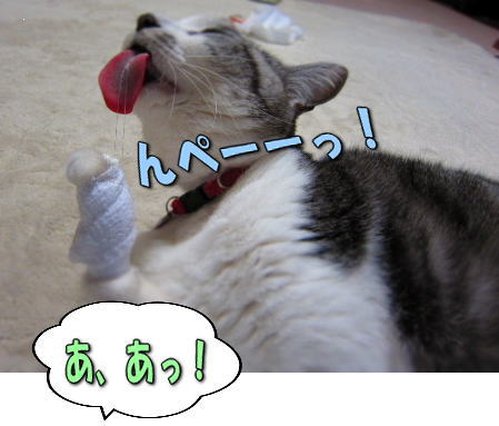11��