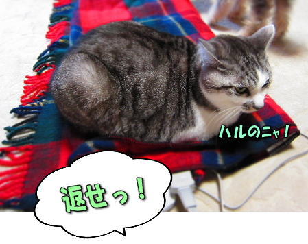 7�֤�